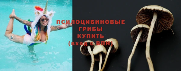 эйфоретик Кулебаки