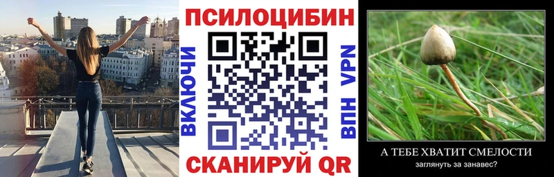 Галлюциногенные грибы ЛСД Кунгур
