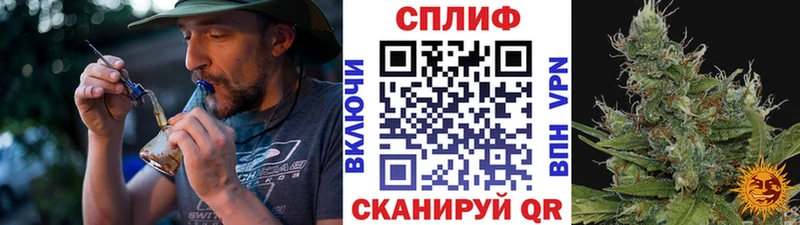 Канабис SATIVA & INDICA  Кунгур 